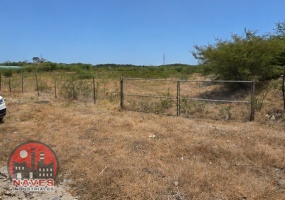 venta, terreno para naves industriales, terreno para centro logístico, terreno para centro de distribución, terreno en venta provincia Peravia, terreno Carretera Sánchez Baní, terreno para parque industrial, terreno para almacenes, terreno para desarrollo industrial, terreno de gran extensión en Baní, inversión inmobiliaria Baní, terreno comercial República Dominicana, desarrollo logístico República Dominicana, terreno para proyecto industrial. venta, terreno para naves industriales, terreno para centro logístico, terreno para centro de distribución, terreno en venta provincia Peravia, terreno Carretera Sánchez Baní, terreno para parque industrial, terreno para almacenes, terreno para desarrollo industrial, terreno de gran extensión en Baní, inversión inmobiliaria Baní, terreno comercial República Dominicana, desarrollo logístico República Dominicana, terreno para proyecto industrial.